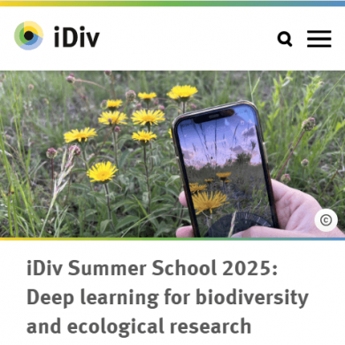 iDiv Summer School - "Deep learning for biodiversity and ecological research"