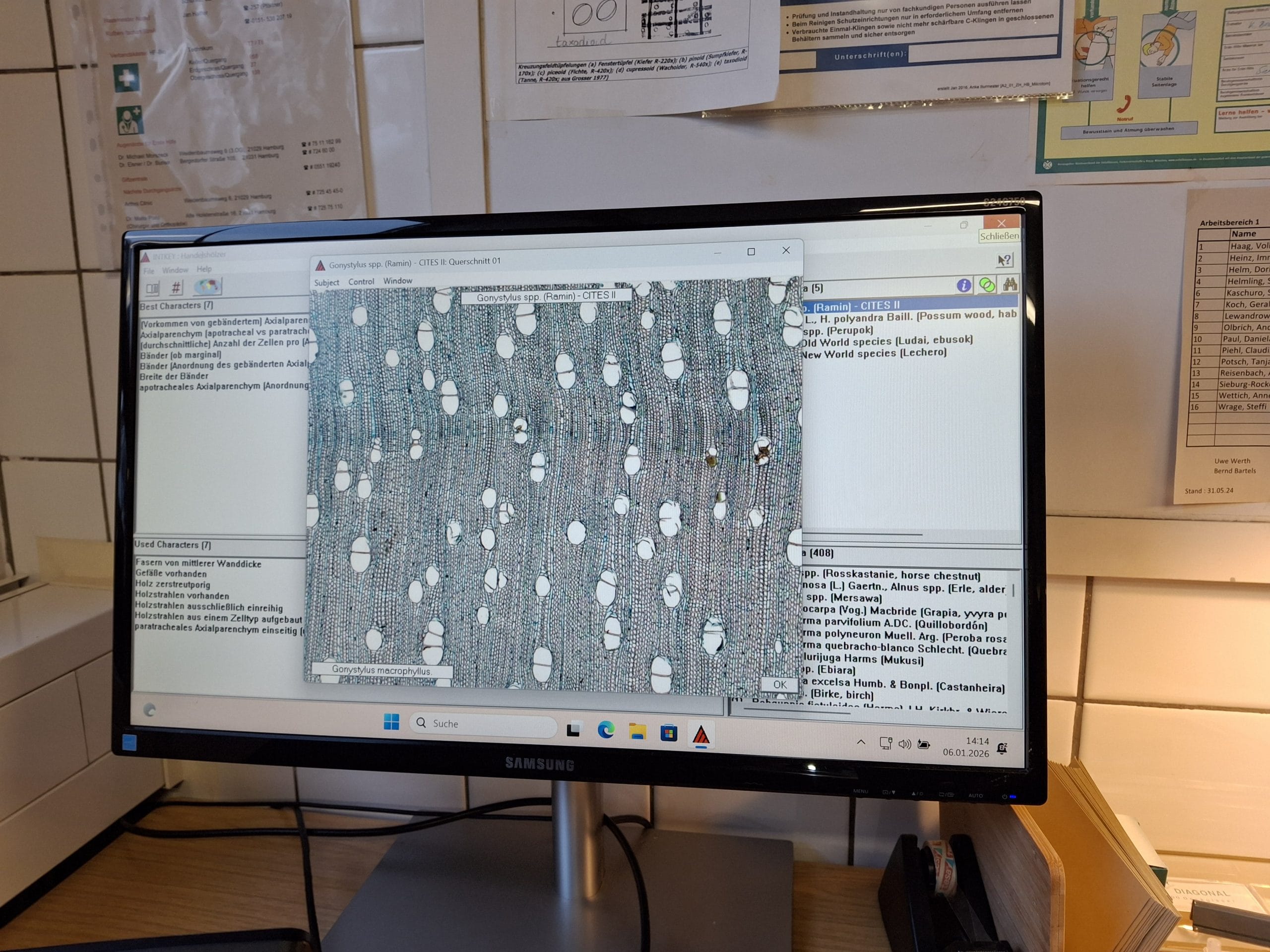 {{brizy_dc_image_alt imageSrc=