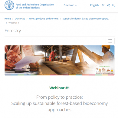 From policy to practice: Scaling up sustainable forest-based bioeconomy approaches