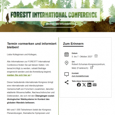 From policy to practice: Scaling up sustainable forest-based bioeconomy approaches