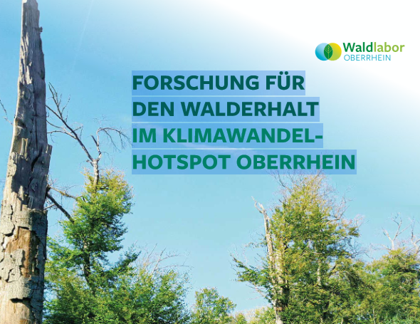 WaldlabOR_Broschüre