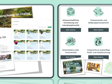 Collage der Screenshots von Elementen des REGULUS-Forums und der Querschnittsthemen-Websites © Christiane Trost