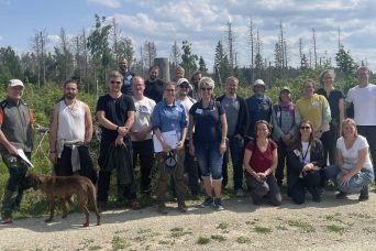 {{brizy_dc_image_alt entityId=